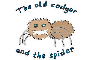 The old codger and the spider