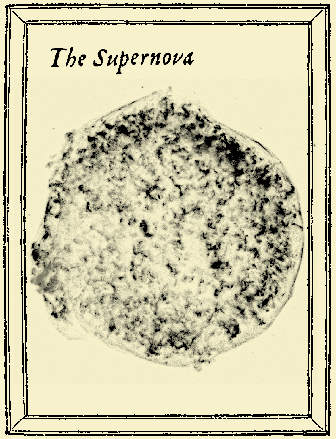 The Supernova