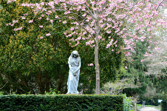 Nørrebro walking tour - Assistens Cemetery