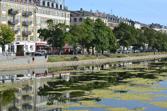 Nørrebro walking tour - Sortedams Lake